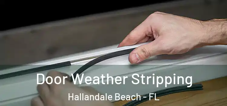 Door Weather Stripping Hallandale Beach - FL